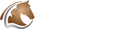 Skyland Ranch Horseback Riding White Logo