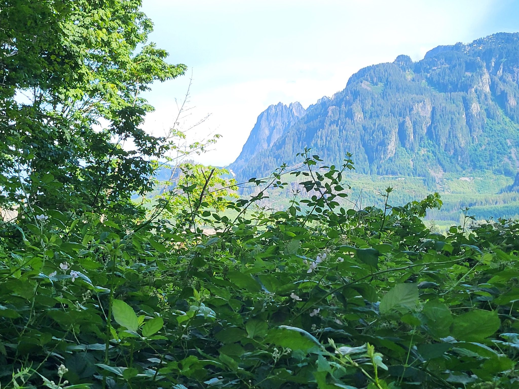 Horseback Riding Seattle, Washington Horse Riding Seattle