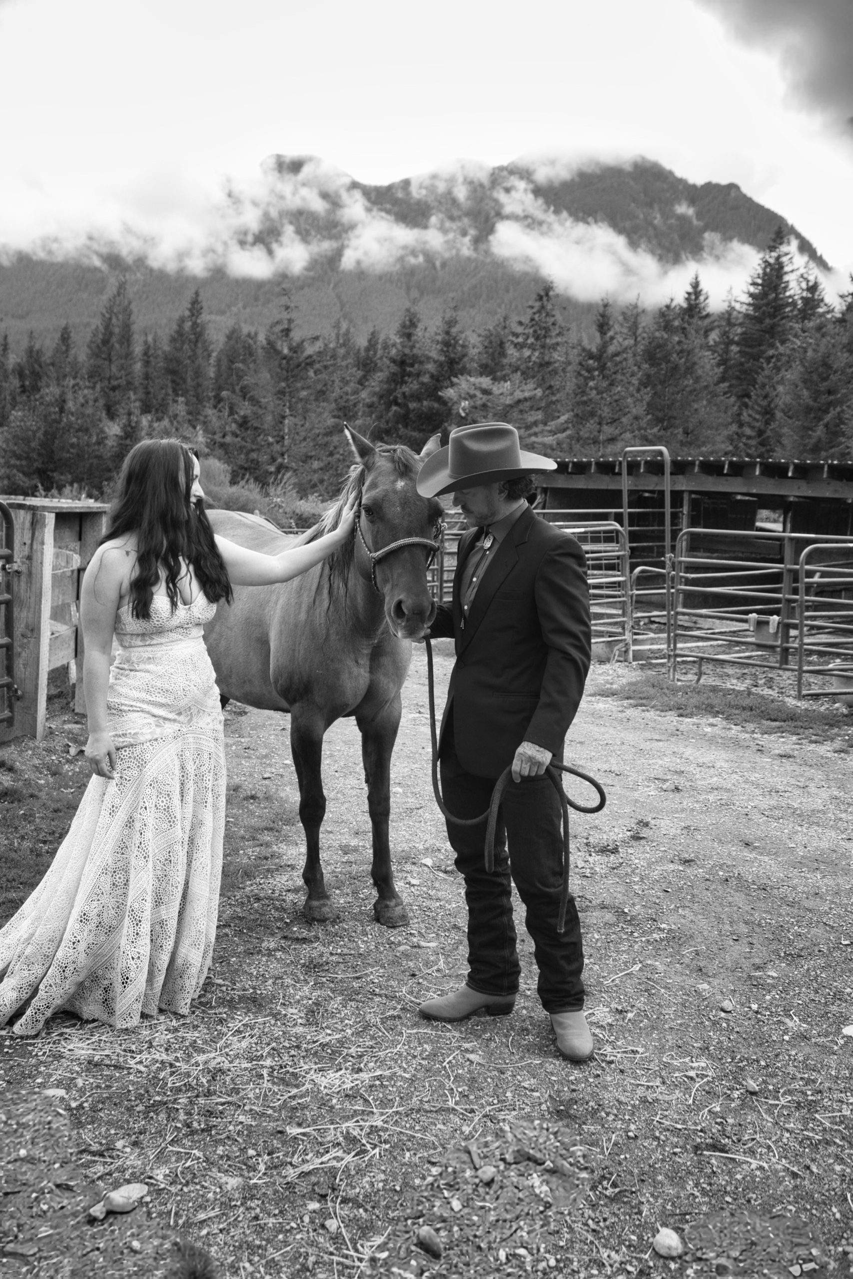 Horse wedding photo at Skyland Ranch, Gold Bar, WA