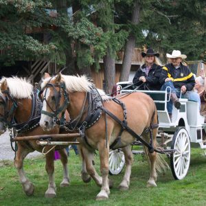 Carriage ride at Skyland Ranch, Gold Bar, WA