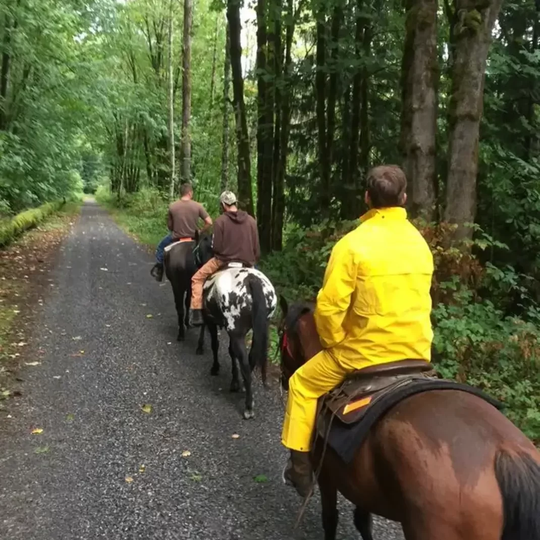 Best Horse Riding In Seattle